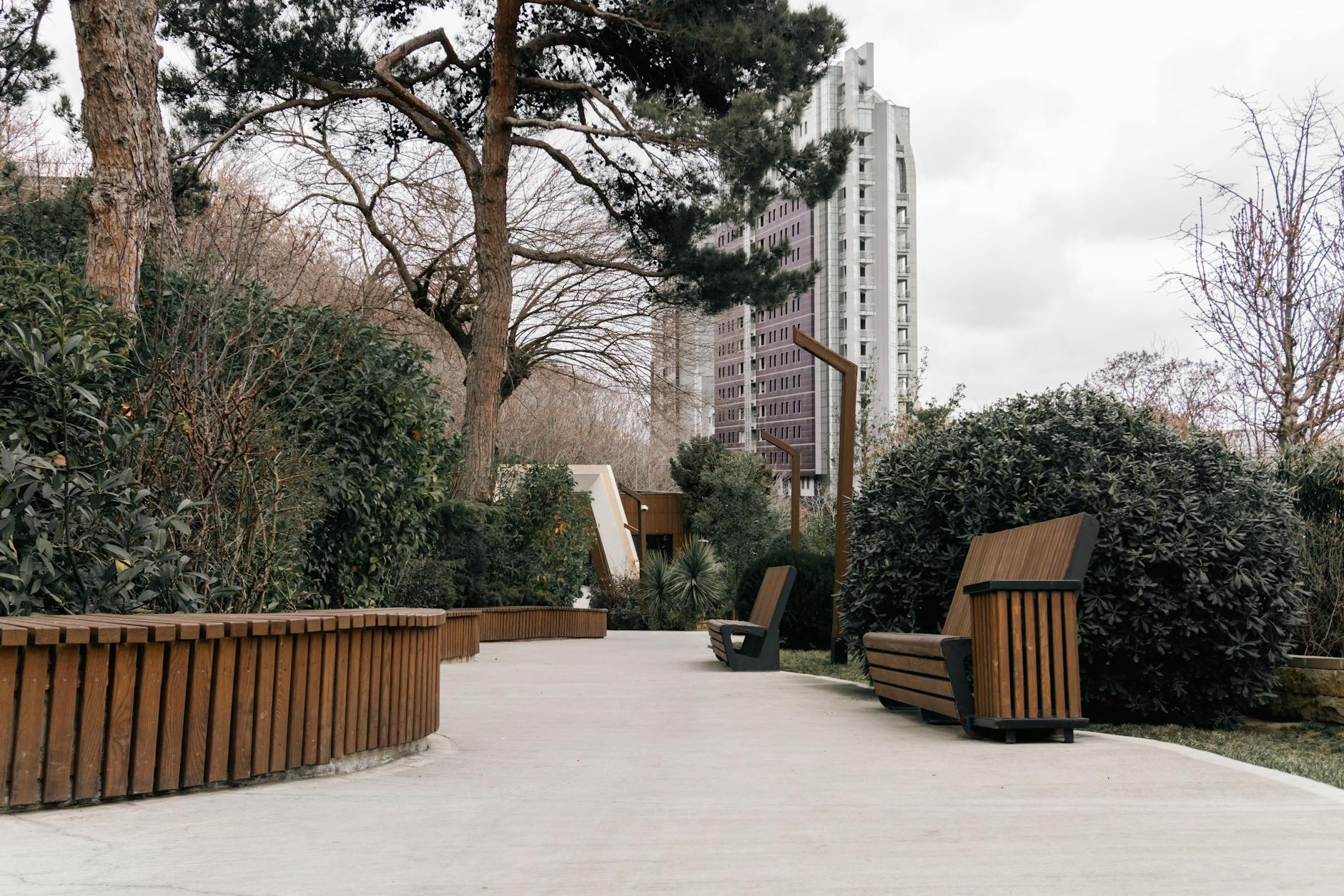 People exploring an urban park setting with trees and pathways