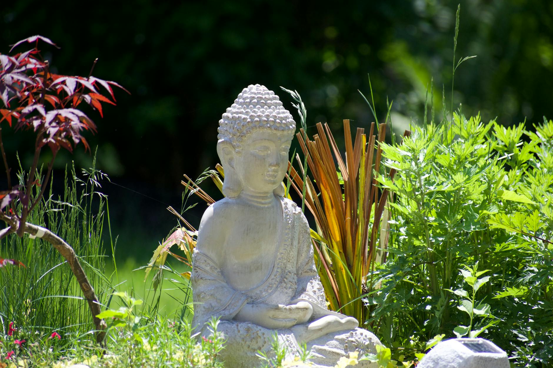 Peaceful zen garden with stones and bamboo for mindfulness and relaxation