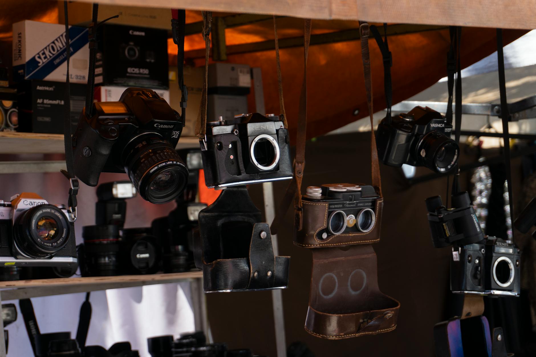 Interior view of camera shop with vintage cameras displayed on shelves and counter