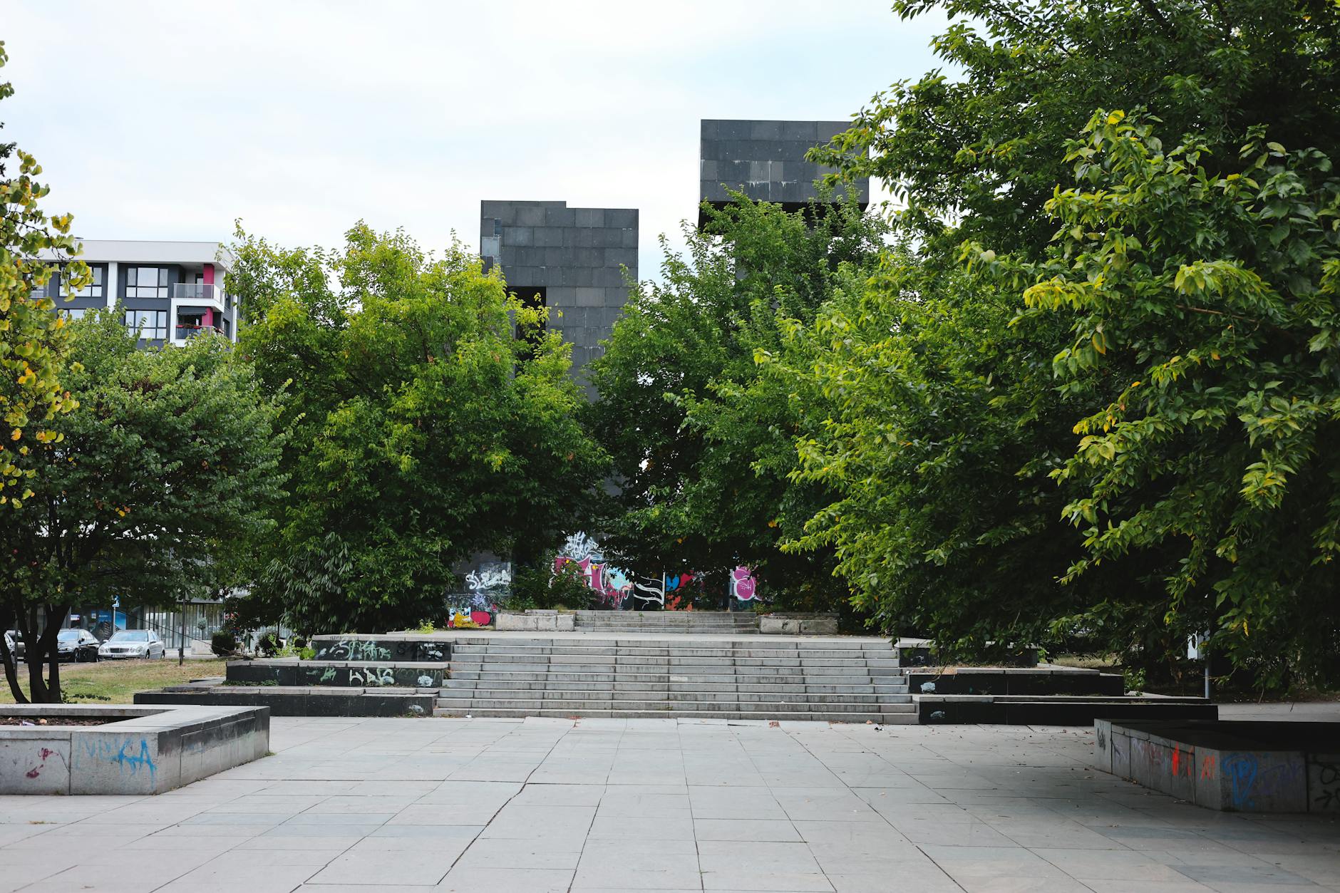 Peaceful tree-lined pathway in an urban green space on a sunny day