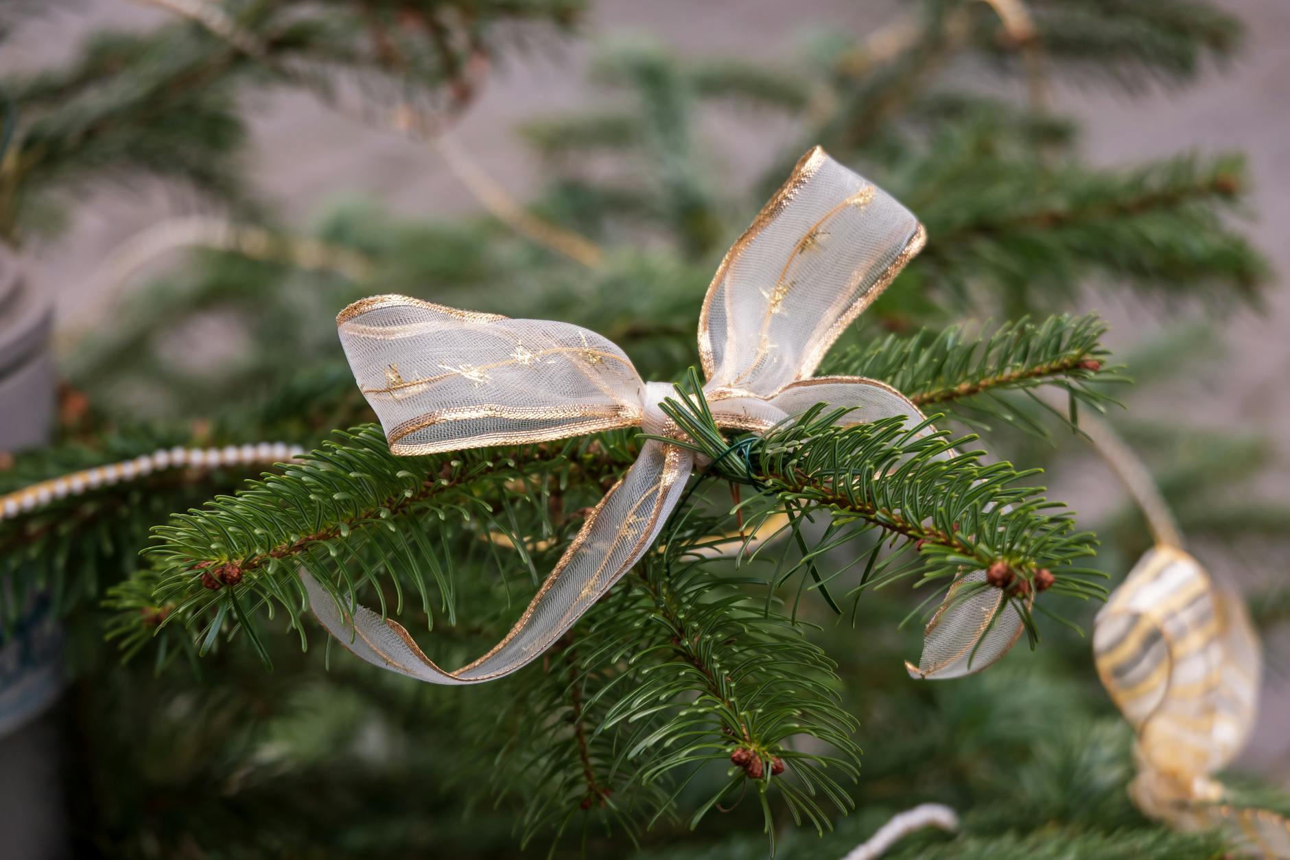 Close-up of decorative ribbons and bows used in professional gift presentation services