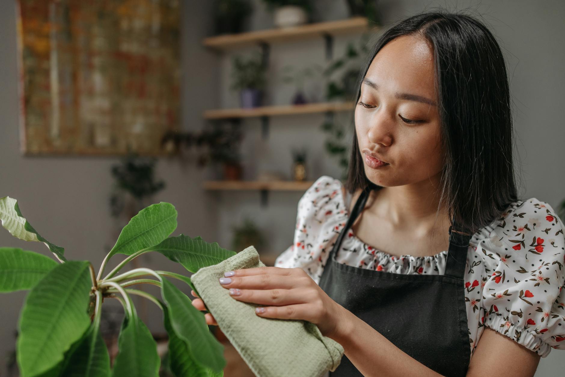 Hands tending to houseplants with watering can and gardening tools