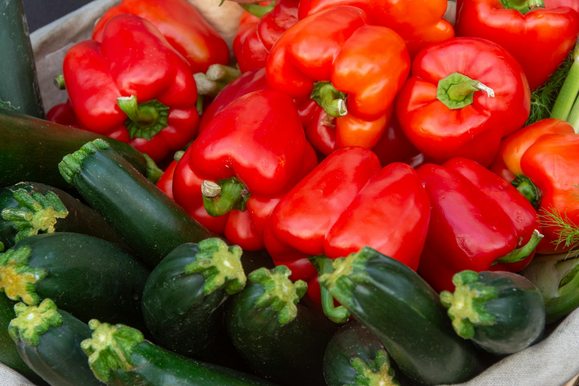 Freshly harvested vegetables including tomatoes, peppers, and leafy greens in a basket