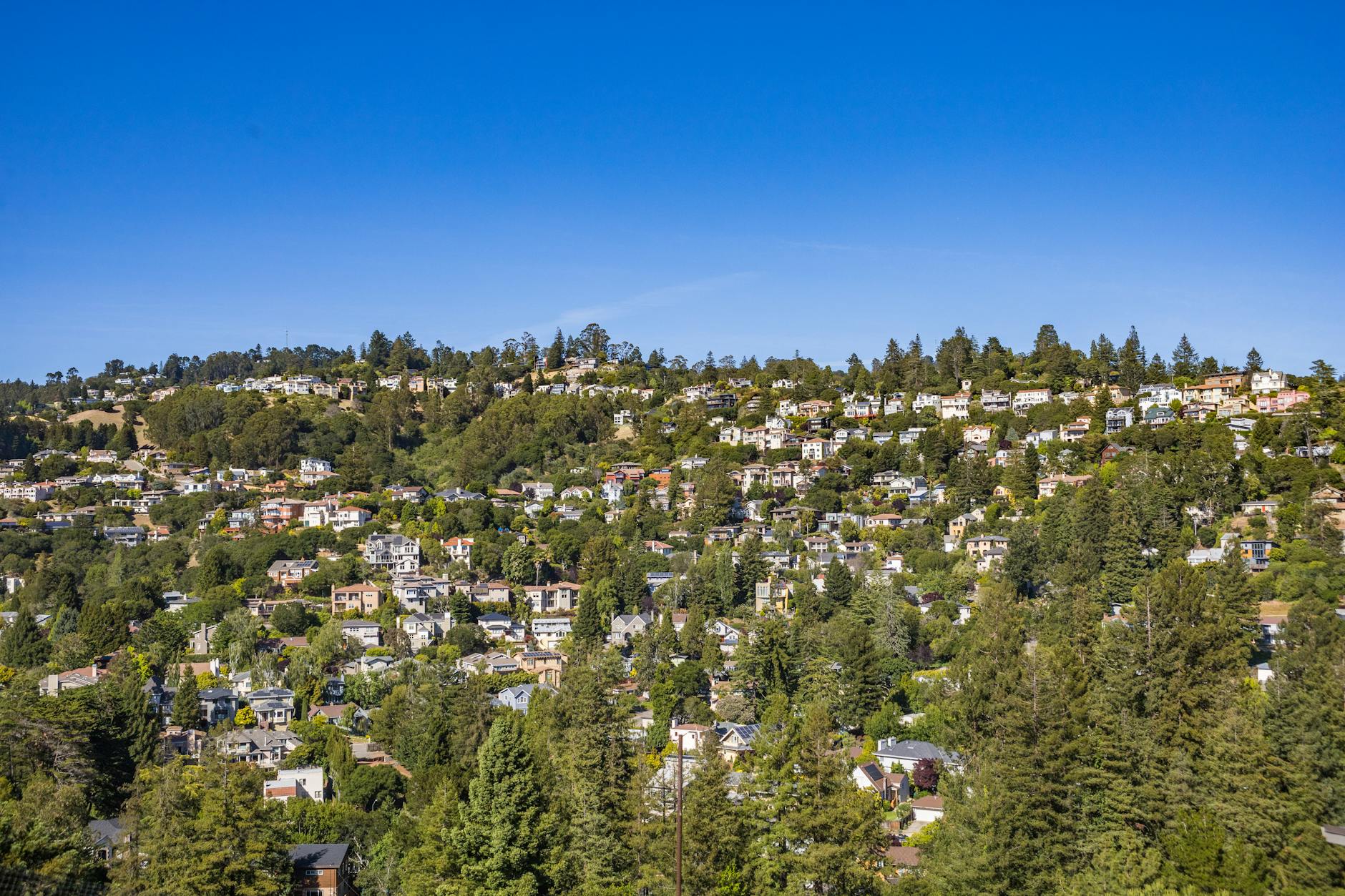 Street-level view of an urban Oakland neighborhood with storefronts and pedestrians
