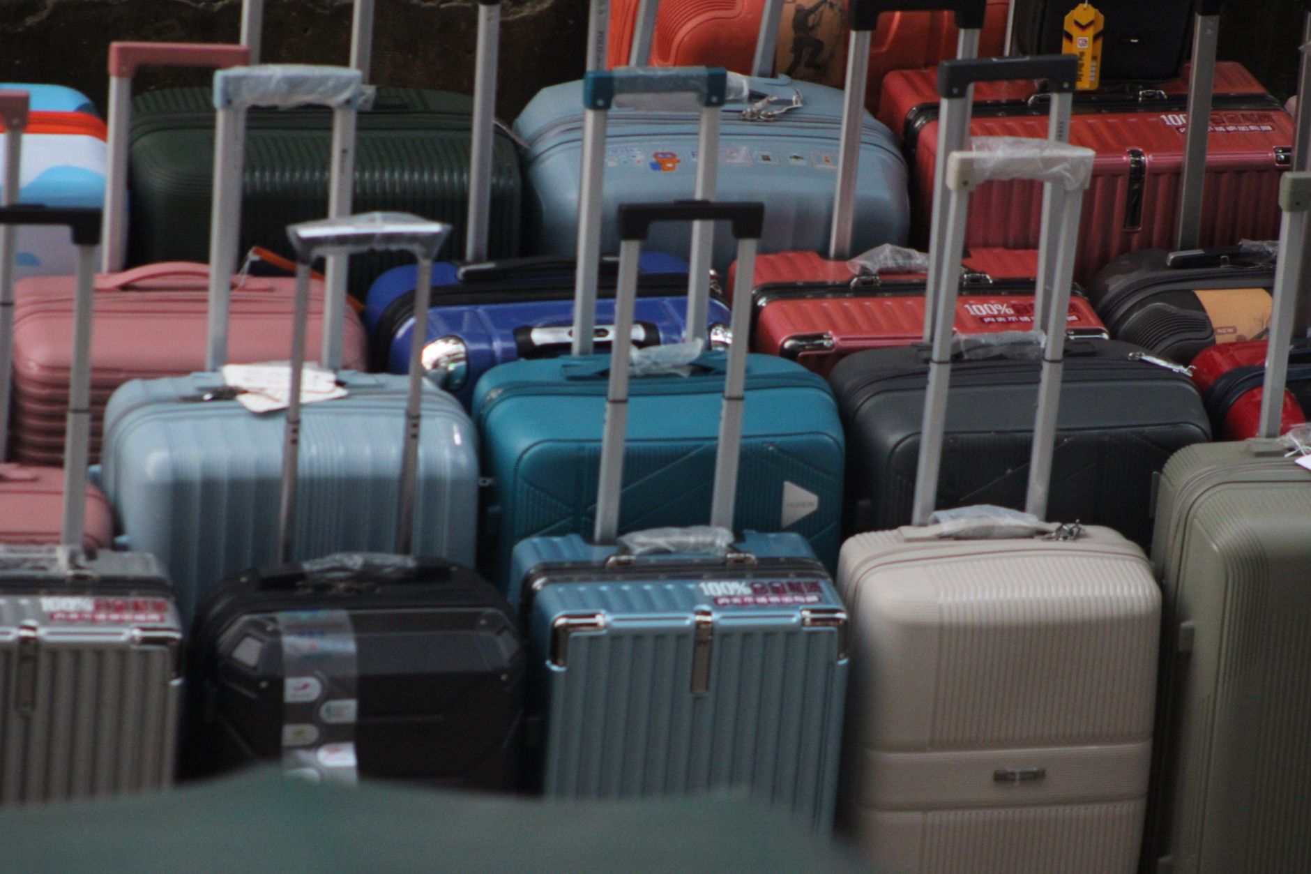 Open suitcase with neatly packed clothing and travel accessories