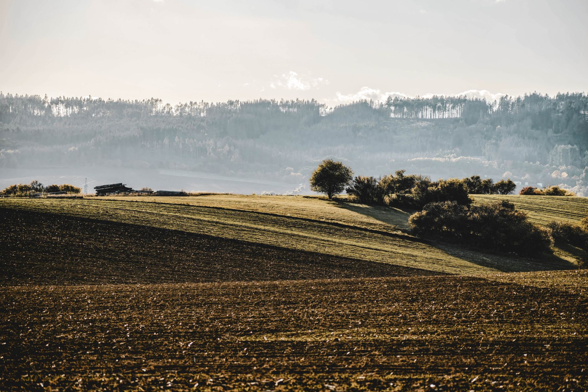 Wide open rural countryside landscape with golden light suggesting a Western or country setting