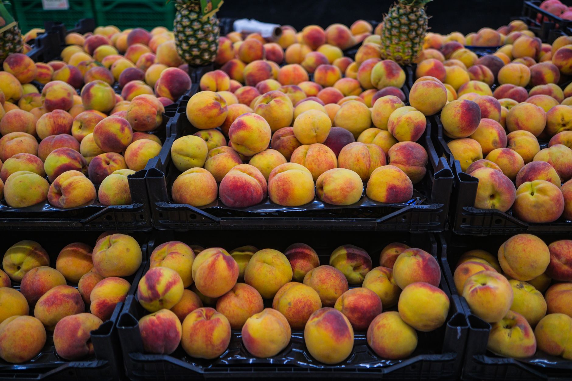 Fresh peaches arranged on a wooden surface in natural light