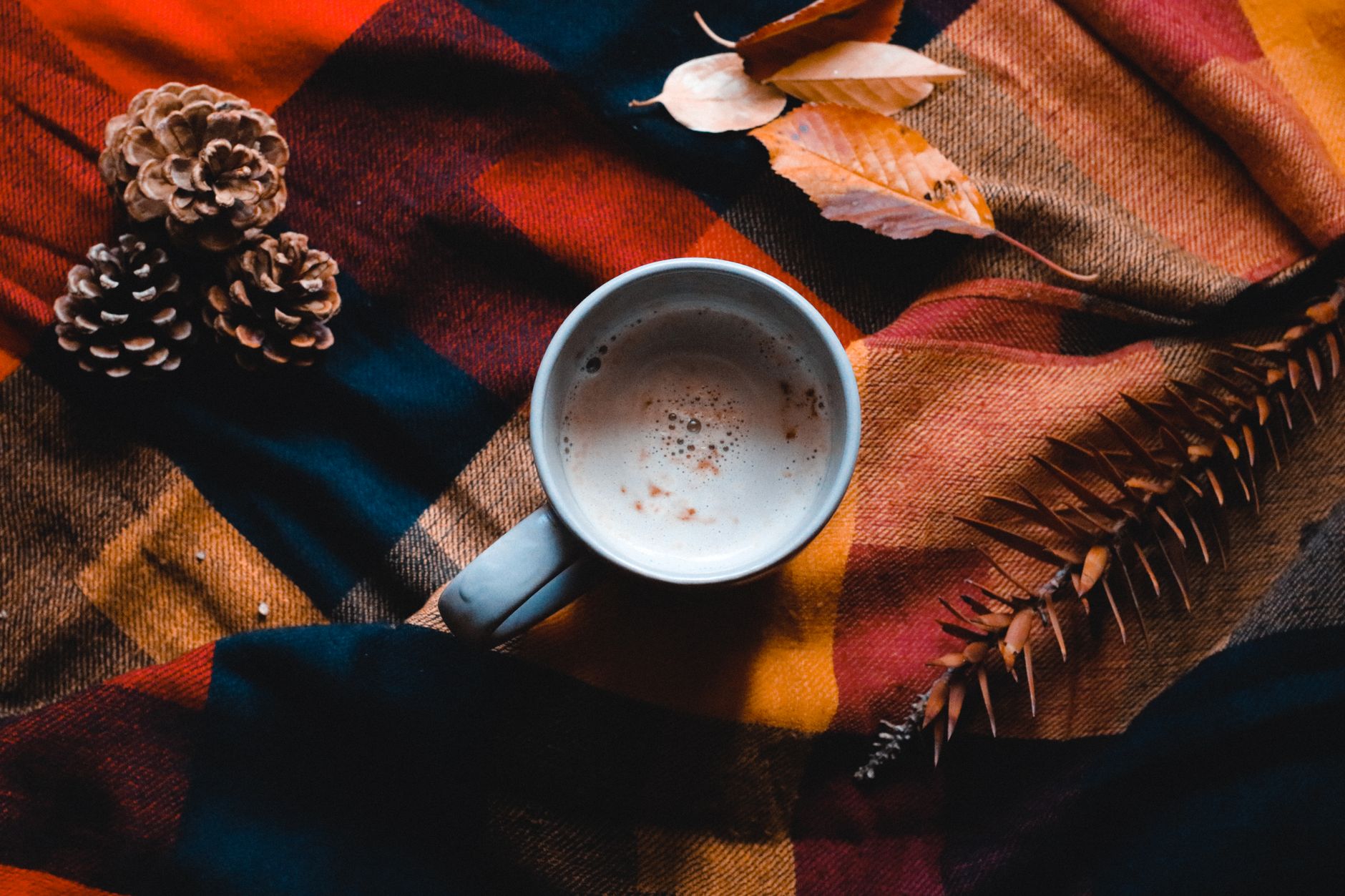 Warm autumn morning scene with soft light and a cup of coffee on a wooden table