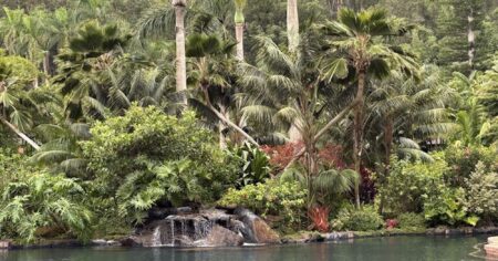 Six Months Without a Day Off Sent Me to Lānaʻi Lush upcountry landscape with mist and tropical greenery in Hawaii